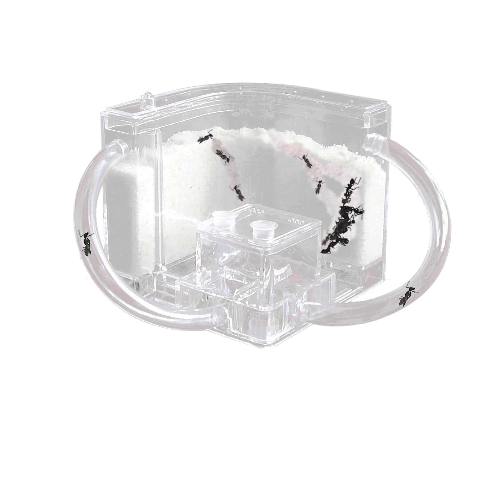 Photo 1 of EXBEPE Sand Ant Farm with Connecting Tubes,Live Ant Habitat Colony Ecosystem Terrarium Kit for Kids to Study Insect Behavior