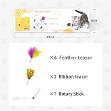 Migipaws Rainbow Feather Replacement 6 Pcs for MigiBox Cat Toy + 2 Free Mylar view 4