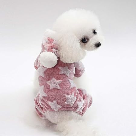 toy poodle jackets