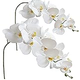 FagusHome Artificial Phalaenopsis Flowers Branches