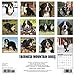 Just Bernese Mountain Dogs 2017 Wall Calendar (Dog Breed Calendars)