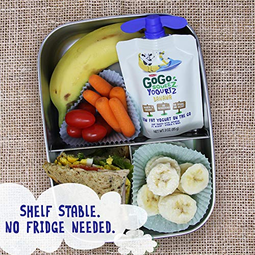 4 GoGo+YogurtZ+Pouches+Healthy+Reusable