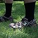 Punchau Pre-Assembled Lawn Aerator Shoes with Metal Buckles and 3 Straps - Heavy Duty Spiked Sandals for Aerating Your Lawn or Yard