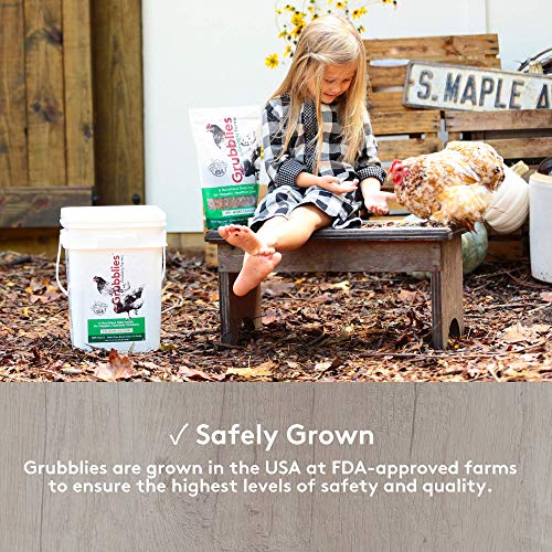 2 Grubblies+USA+Grown+Mealworms+Nutritious+Oven+Dried