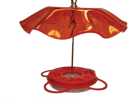 Amazon Com Birds Choice Orange Weather Guard Wild Bird Dome