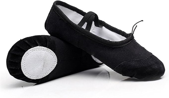 ballet slipper type shoes