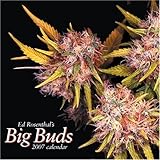 Ed Rosenthal's Marijuana Big Buds 2007 Calendar