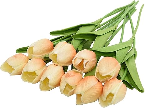 Amazon 装飾 プラスチック製の花 5月10日 枚チューリップの造花のブーケのフェイクフラワーホームギフト結婚式の装飾花 寝室の装飾 Color F16 Size 10pcs 造花 オンライン通販 Amazon 装飾 プラスチック製の花 5月10日 枚チューリップの造花のブーケのフェイクフラワーホームギフト結婚式の装飾花 寝室の装飾 Color F16 Size 10pcs 造花 オンライン通販