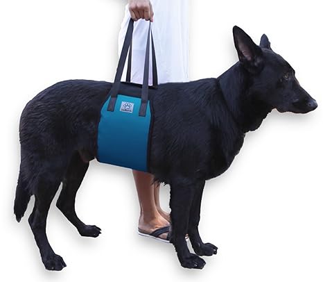 Amazon.com : XL Blue Dog Lift Support Harness for canine aid ...
