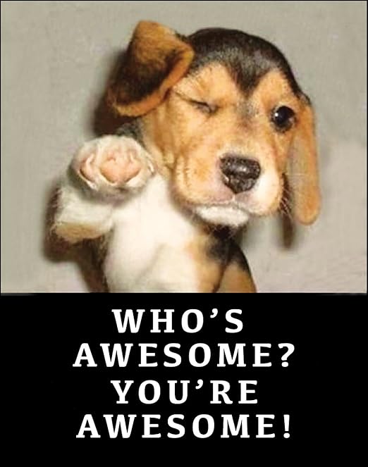 Funny Retro Poster Who's Awesome You're Awesome Ephemera