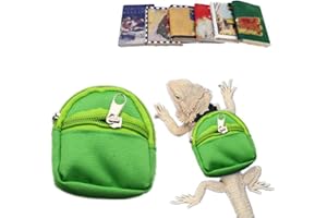 HAICHEN TEC Lizard Backpack for Bearded Dragons School Bag & Books Set Reptile Apparel Accessories Handmade Photo Party Back to School Supplies for Lizard Bearded Dragon Crested Gecko Chameleon (Green)