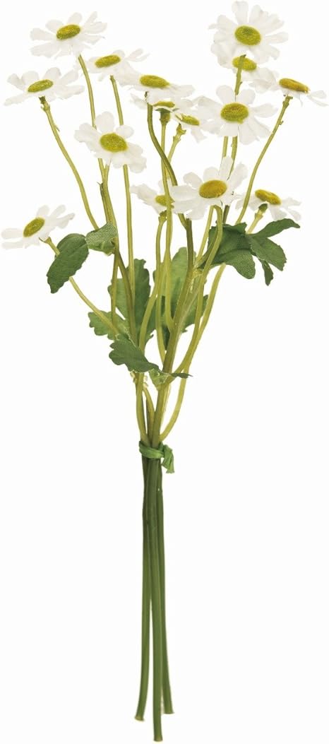 Amazon Co Jp Magiq 東京堂 上質な 造花 マトリカリアバンドル 3本入り White Fm ホーム キッチン