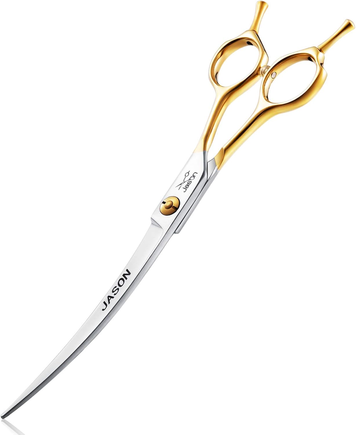 cross pug and jack russell