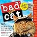 Bad Cat 2015 Page-A-Day Calendar by
