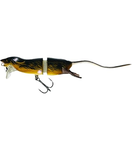 clear creek fishing pole container Amazon.com : Clear Creek Portable Fly Fishing Rod & Reel Case 9' (Four  Piece) - Complete Storage Protection - Easy to Carry