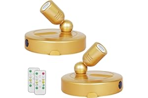 HAMVIDNE Indoor Spotlight, Battery Operated Spotlights with Remote, Picture Lights for Wall, Plant Tree Spotlight with Timer, Up Lights for Art Display Dartboard Painting Artwork Accent Frames-Gold