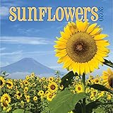 Sunflowers 2020 Calendar by 