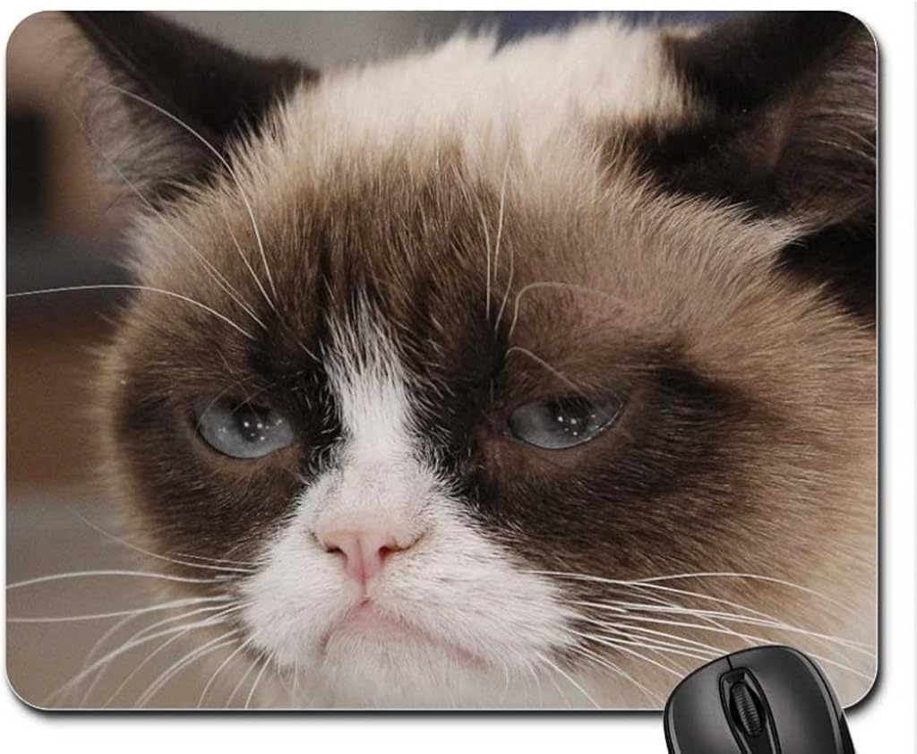 Grumpy Cat Mouse Pad, Mousepad (Cats Mouse Pad) Clothing