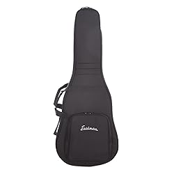 Eastman E1D Dreadnought Guitar with Gig Bag