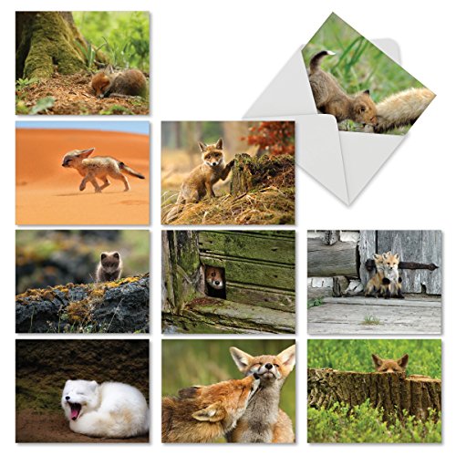 M6480OCB Little Foxes: 10 Assorted Blank All-Occasion Note Cards Featuring Frisky Baby Foxes Playing in Their Natural Surroundings, w/White Envelopes.