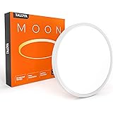 TALOYA Flush Mount 12 Inch Ceiling Light (Milk White Shell), 20W Surface Mount LED Light Fixture for Bedroom Kitchen,3…