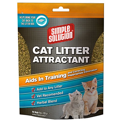 best cat litter solutions