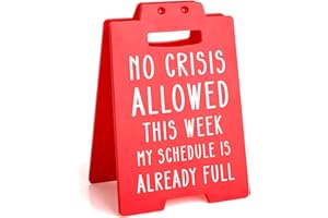 JOYETI Funny Boss Gifts for Women Men, Boss Lady Gift, White Elephant Gift, Administrative Professional Day Coworker Gifts for Women Manager Supervisor Leader Administrator Principal, Funny Cubicle Sign