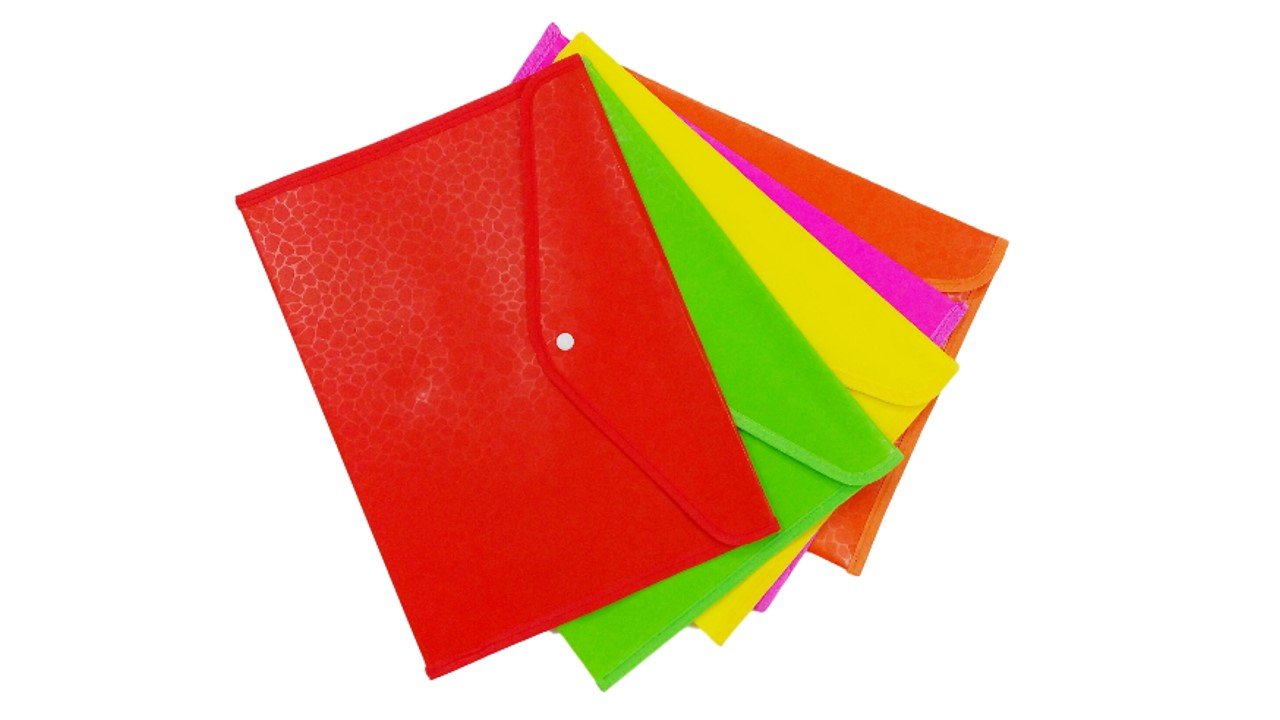 My Clear Bag File Folder (FC Size_Multi Colour_Pack Of 10) Amazon.in