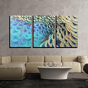 Beautiful Green Peacock Feathers Texture Abstract Background x3 Panels