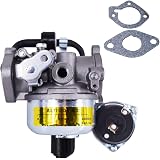 Carburetor Fits for Onan 146-0663, Carb with Gaskets 146-0577 & 146-0630 BGE spec K-P. BGD & BGDL Begin Spec F