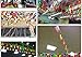 2set 80pcs Countries Flags Business Word Cards DIY Gift Message Graffiti Card Notepads Memo Card(Pattern Random)