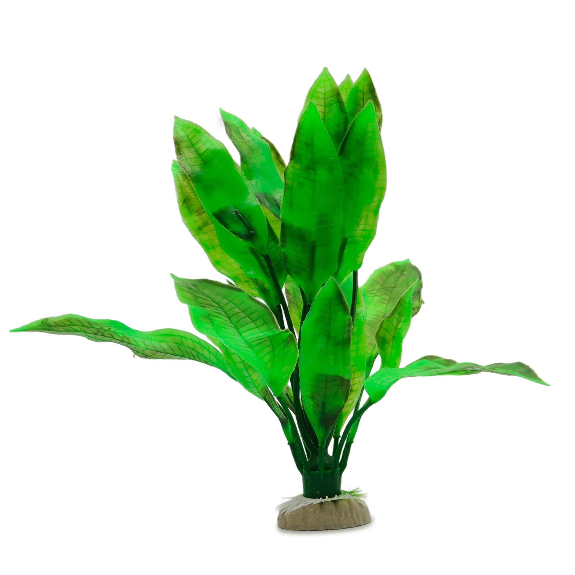 WAVE Echinodorus Bleheri Plant Classic, Large