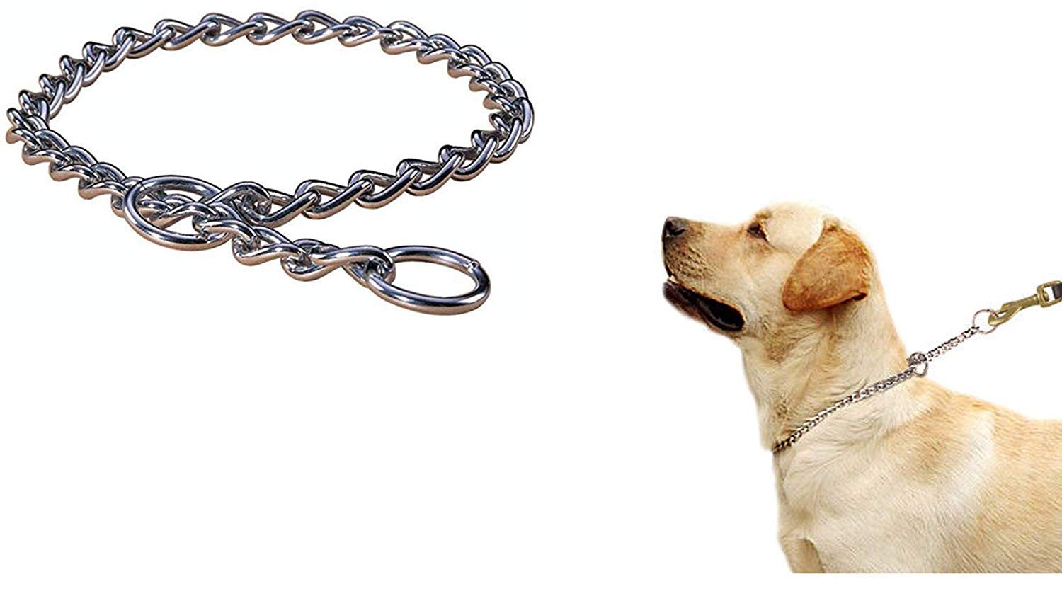 chain dog harness