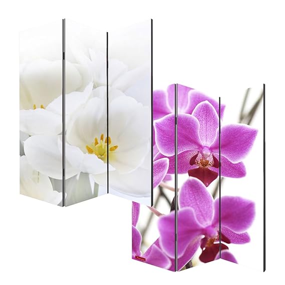Mendler Foto-Paravent Paravent Raumteiler Trennwand M68~180x120cm, Orchidee