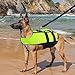 Petvins Dog Life Jacket Inflatable Pet Life Preserver Adjustable Air Sac Swiming Coat Safety Vest Fluorescent Green Small