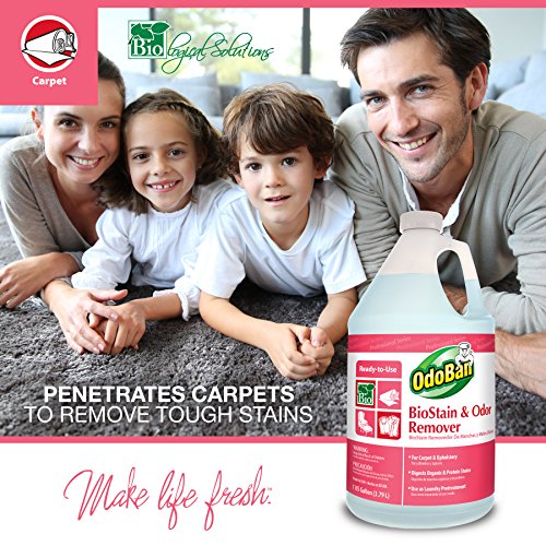 OdoBan Professional Cleaning BioStain and Odor Remover Gallon and Spray