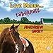 Love Means... Endurance by