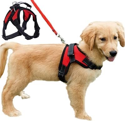 FUNKEEN PET HOUSE No-Pull Padded Adjustable Puppy Harness Vest M Red