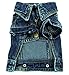 SMALLLEE_LUCKY_STORE Pet Small Dog Cat Clothes Classic Denim Jacket Coat Male Costume Blue S