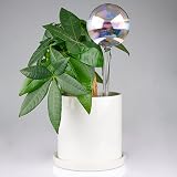 [Tomorotec] 6 Pack Light Iridescent Glass Self-Watering Spikes Iridescent Color view 6
