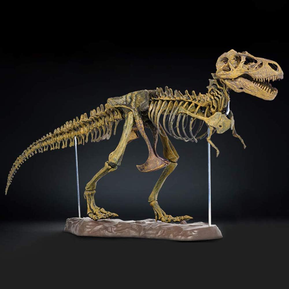 3D T-Rex Dinosaur Skeleton Model Bone Puzzles Simulation Educational Toy Pre-School Teaching Soft Non-Toxic PVC Material Gifts Style 2