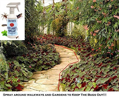 image for Colton's Naturals Natural Bug Spray Repellent - Mint - 100% Natural, S