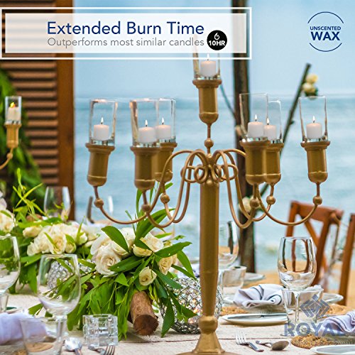 Royal Imports Votive Candle, Unscented Ivory Wax, Box of 72, for