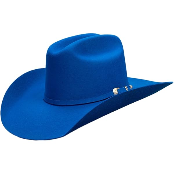 Chapeau de Cowboy Texan | Boutique Western