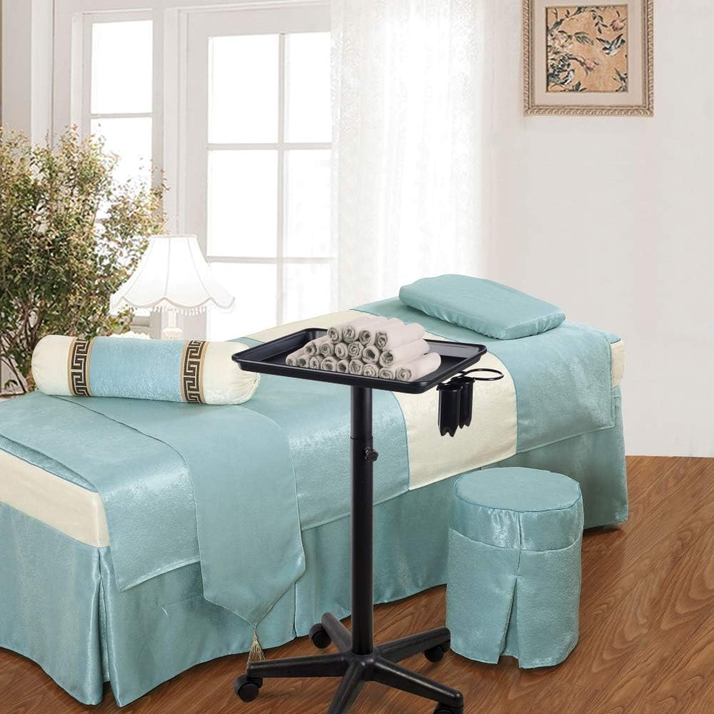 Premium Aluminum Hair Salon Instrument Salon Tray W/Accessory Caddy Tattoo Rolling Tray Station Adjustable Height Trolley Beauty Tool: Furniture & Decor