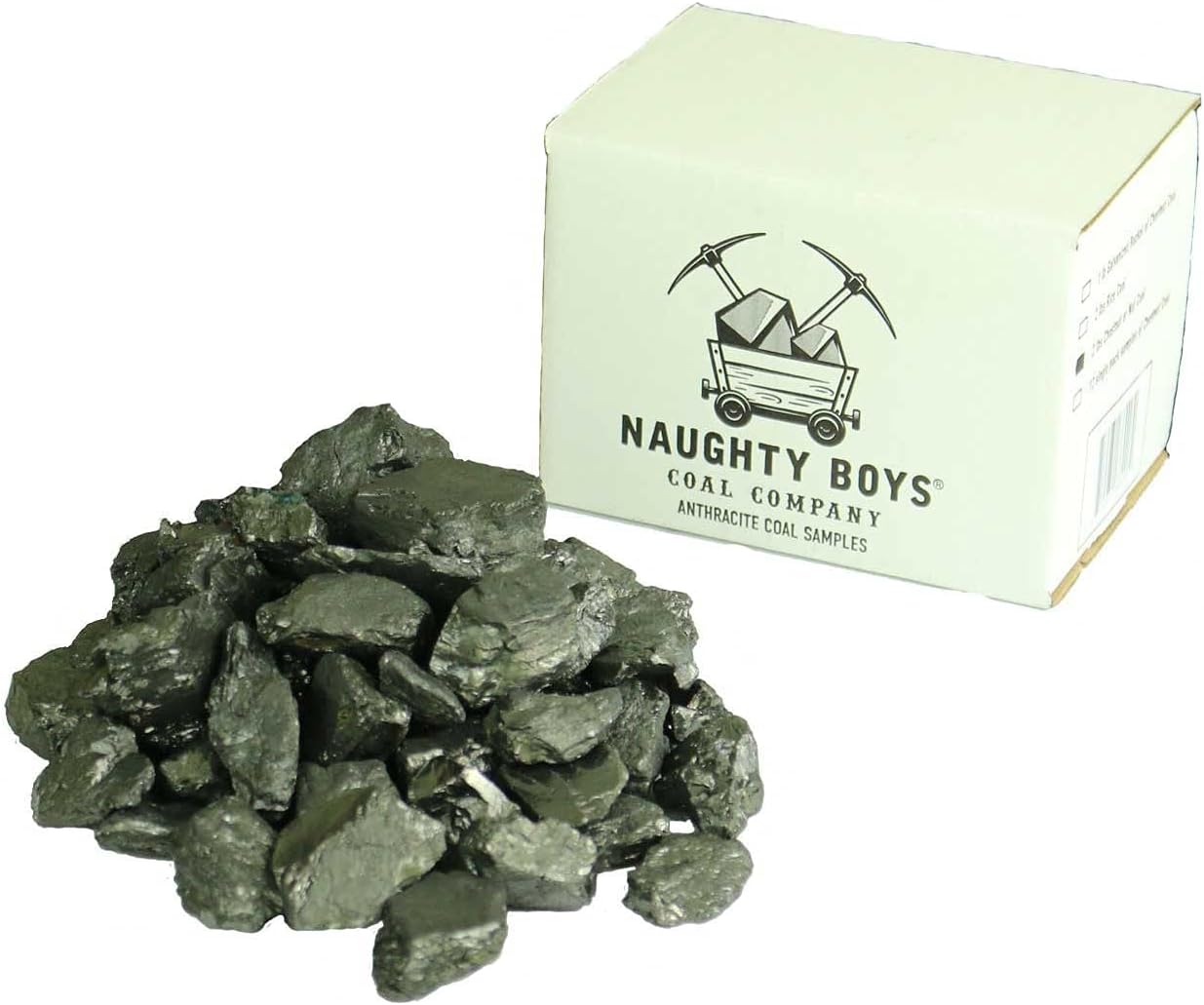 Indoor Fountains & Accessories - Naughty Boys Coal Company 2 pounds of Anthracite Nut Coal Used for Black Smithing, Heating and Gifts.