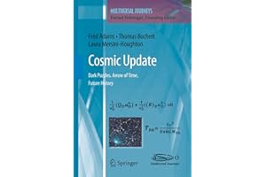 Cosmic Update: Dark Puzzles. Arrow of Time. Future History (Multiversal Journeys)