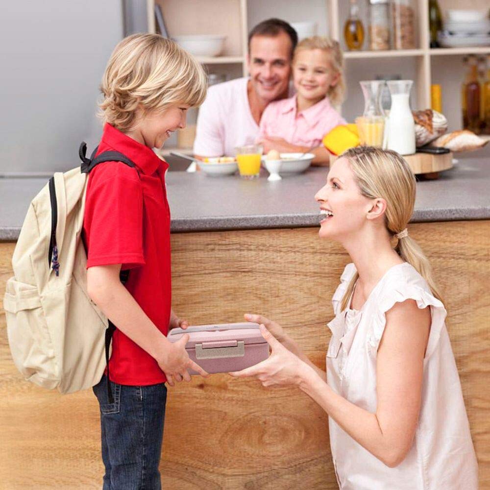 Bento Box for Kids, Leakproof Lunch Box with 3 Compartments, Lunch container safe for kids