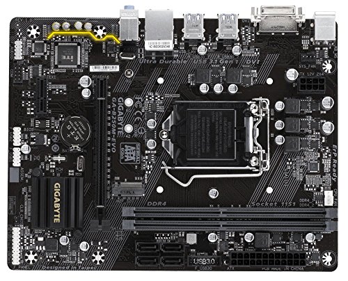 Gigabyte motherboards ga-b250m-evo