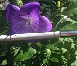 Laval Kohl Eyeliner Pencil White Long-Lasting Smudger for Smoky Eyes view 4
